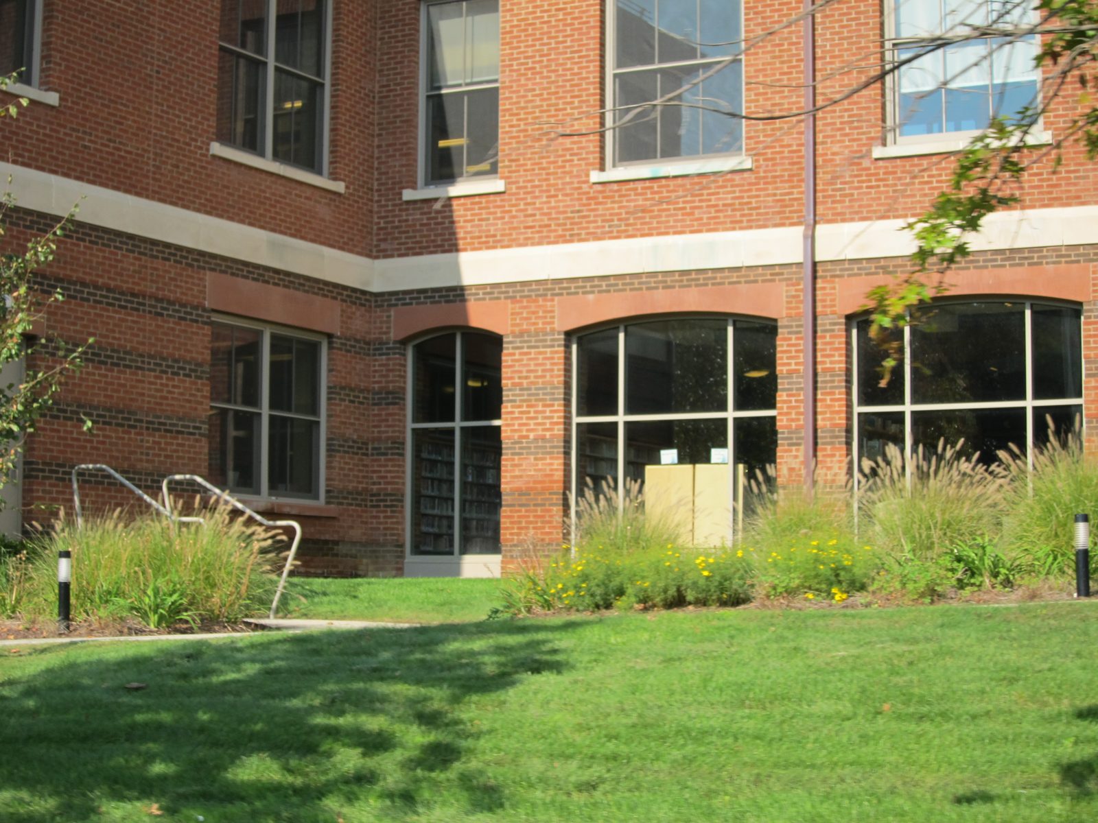 Ah ... one tiny segment of the new library on the Post Road, just in front of the police station.